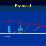 An IUI Protocol Diagram Nevada Center for Reproductive Medicine